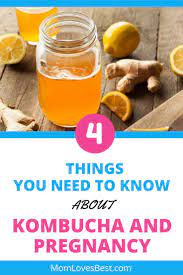 Pin On Probiotic Foods And Recipes