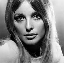 Her friend and former boyfriend jay sebring along with wojciech frykowski and abigail folger were all killed by the manson family in a house on cielo drive in. Manson Morde Das Zweite Leben Der Sharon Tate Welt
