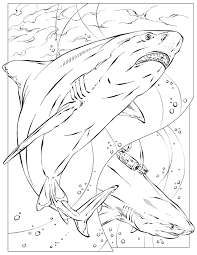 Download Coloring Book Animals A To I