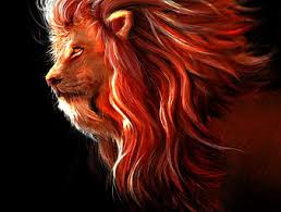 A perfect ram hide can earn an outlaw $2.75 and. Hd Lion Relaxing Wallpapers Peakpx