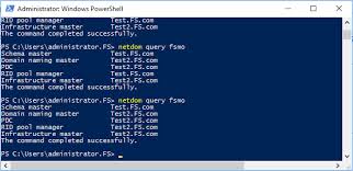 Step By Step Guide To Transfer Fsmo Roles Vembu