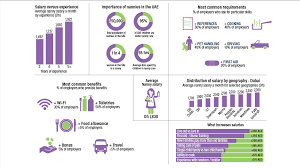 uae nannies earn an average dh1 830 per month study says