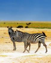 Maybe you would like to learn more about one of these? Worldwide Quest Blog