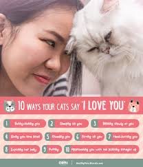 Happy International Cats Day! Put your paws up if you love cats! 😻 Give  your kitty some extra love today and they might do these 10 things to say  they love you, too!❤️