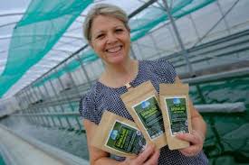 Photo Decouverte de la culture de la spiruline : Visite guidee a Schalbach