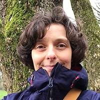 Tiding by Siân Collins