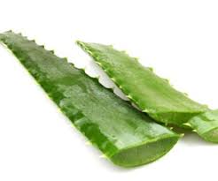 Apa cara melebatkan rambut bayi dengan cepat ya? Cara Lebatkan Rambut