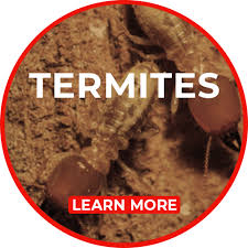 Schedule a thorough inspection with a licensed and experienced arrow pest pest control specialist before buying or selling property chesterfield. Swat Pest Management Owensboro Pest Control Evansville Pest Control