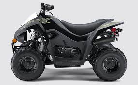 This material is provided for educational purposes only and is not intended for medical advice, diagnosis or treatment. Kawasaki Kfx 50 Youth Atv Introductory Four Wheeler