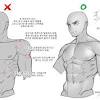 Anterior, posterior and oblique core muscles. 1