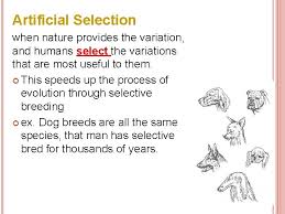 Explorelearning gizmo comes with an answer key answers for explore learning gizmos. How Does Artificial Selection Lead To Evolution