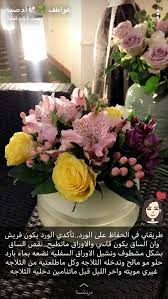 pin by rania on امي food decoration plants diy and crafts