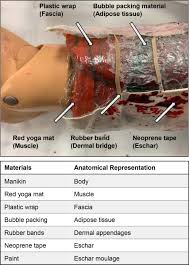 During the procedure, there is a surgical incision done, the purpose of doing the surgery is to make it sure that the restoration of epidermis and the dermis can be done. Validation Of A Low Cost Simulation Strategy For Burn Escharotomy Training Sciencedirect