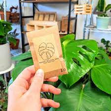 14 Popular Houseplants You Can Grow