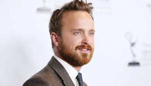 Attempted a aaron paul likeness. Aaron Paul Net Worth 2021 Age Height Weight Wife Kids Biography Wiki The Wealth Record