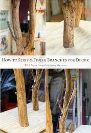 How To Treat Tree Branches For Indoor Use Cleaning Branches For Decor Tree Branch Decor Diy Tree Branch Decor Tree Branch Crafts
