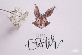 Aquarell Illustration Hase Osterhase Mit Aquarellfarben Zeichnen Anleitung Mit Video Pinsel Und Farbemp Hase Zeichnen Osterhase Zeichnen Ostern Zeichnen