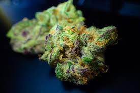Maybe you would like to learn more about one of these? 15 Best High Cbd Flower Strains Effects The Cbd Benefits