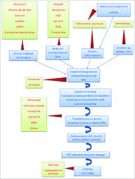 Flow Chart Of Pathophysiology Steps Targeted In Different