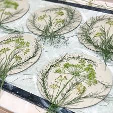 „hier ist mein brief an firma xyz. Laying Out Dill And Asparagus For Some Pressed Flower Plates Pressedflowers Wip Beccajane Topferarbeiten Diy Blumen Diy Stoffblumen
