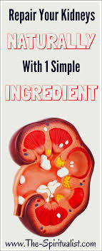 Repair Your Kidneys Natural Cures Health Remedies Kidney Health