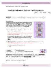Click the release enzymebutton, and describe what happens. Rna And Protein Synthesis Gizmo Explorelearning Pdf Rna And Protein Synthesis Gizmo Explorelearning Assessment Questions Print Page Aiden Connally Course Hero