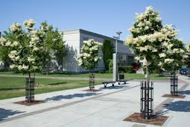 A quelques heures du réveillon, il y a foule dans les magasins et sur les parkings. Comment Amenager Une Place De Parking Handicape Seton Fr