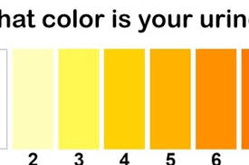 Desain dengan jenis warna cmyk biasanya sangat cocok digunakan untuk yang berhubungan. 10 Warna Urine Dan Artinya Bagi Kesehatan Jangan Disepelekan Semua Halaman Kids