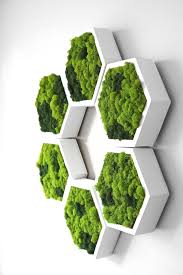 We did not find results for: 29 Best Moss Wall Art Ideas And Designs For Your Living Space In 2021