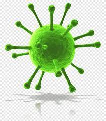 We did not find results for: Immune System Infection Immunity Infectious Disease Nutrition Worm Virus Nutrition Disease Png Pngegg