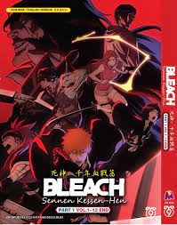 Bleach: Sennen Kessen-hen Part 1 Vol.1-13 End (English Dubbed) Anime DVD |  eBay