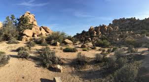 Joshua Tree National Park Travel Guide At Wikivoyage