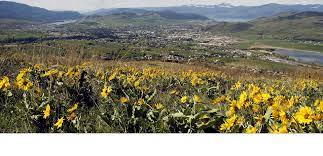 City of vernon webmap a brief summary of the item is not available. City Of Vernon Activate Life Startseite Facebook