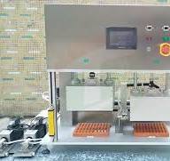 Lithium Ion Cell Battery Electrolyte Filling Process