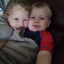 Bee hive installation in Tatum