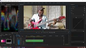 One such program is adobe premiere pro 2020, download which will not be difficult via torrent. Solved Color Issue After Updating 2020 Version Adobe Support Community 10729632