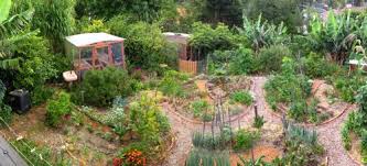 Happy Earth Australian Garden In Urban Setting Food Forest Garden Permaculture Gardening Forest Garden