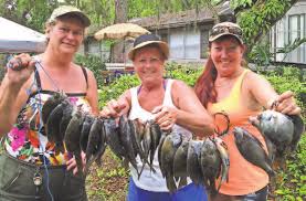 Trailing through the city