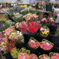 Flowers and fruits are major horticultural features of plants and can fail to form for many different reasons. Produce Junction Wynnefield 9 Tips
