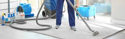 You'll need to prepare your alkaline cleaner: Blue Gatorade Stains Apex Carpet Cleaning Flood Restoration