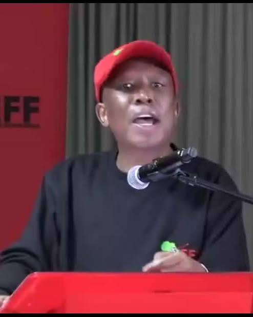 Julius Malema (@officialjuliusmalema)'s videos with original sound - Julius Malema | TikTok