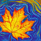 Maple Leaf event image