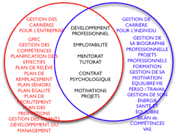 Deux Gestions De Carriere Organisationnelle Et Biographique Gestion Psychologie Ressources Humaines