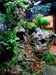 Diy Vivarium Waterfall Google Search Vivarium Reptile Terrarium Terrarium