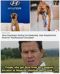 Show off employee recognition in a fun and unique way with these creative awards or start a peer recognition program to build a culture of appreciation. The Employee Of The Year By U Gwynbleidd X Funny Gaming Memes Stupid Funny Memes Funny Relatable Memes