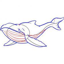 Pin On How To Draw