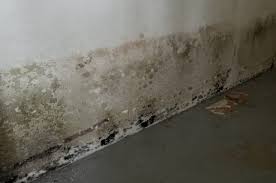Mold in basement has been a seasonal problem. How To Prevent Mold In The Basement Preventing Mold In Your Basement