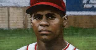 Video — Matthew Leib