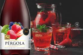 Intense aromas that refresh the palate. Voce Ja Conhece A Bebida Cooler A Tendencia Do Verao Blog Vinicola Campestre