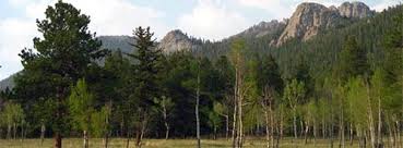 The camping season reaches a peak from early may to late september, but many campgrounds are open throughout the year. Colorado Parks Wildlife Camping Cabins Yurts Guest House